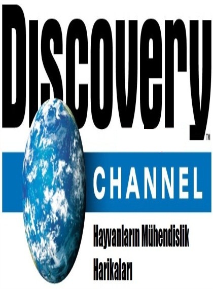 Discovery Channel: Hayvanların Mühendislik Harikaları