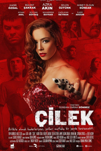 %C3%87ilek.jpg