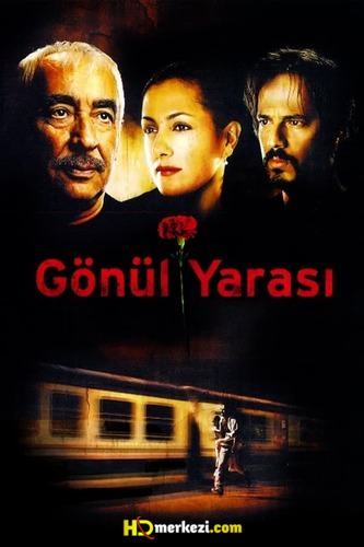 G%C3%B6n%C3%BCl-Yaras%C4%B1.jpg