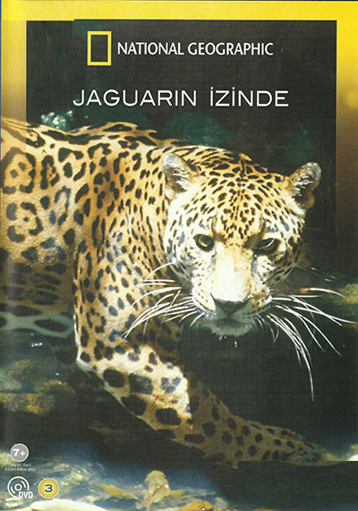 En Vahşi Avcılar: Jaguarın İzinde