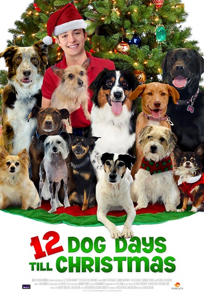 Noel’in 12 Köpeği