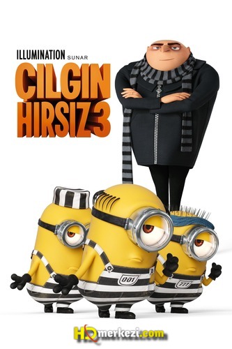 Çılgın Hırsız 3