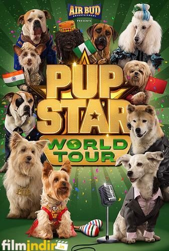 Yıldız Yavru Köpekler: Dünya Turu